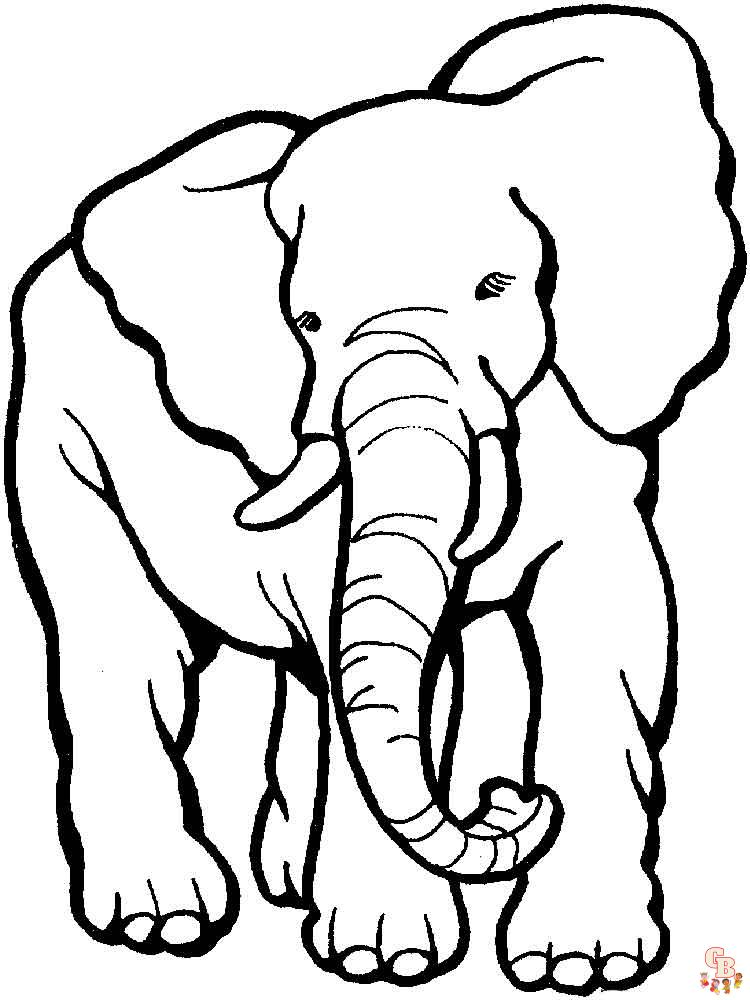 Ausmalbilder Elefant 5