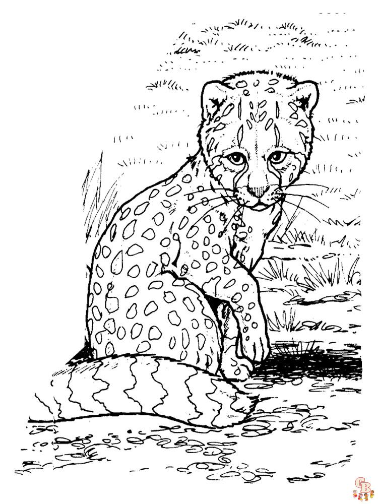 Ausmalbilder Gepard 12