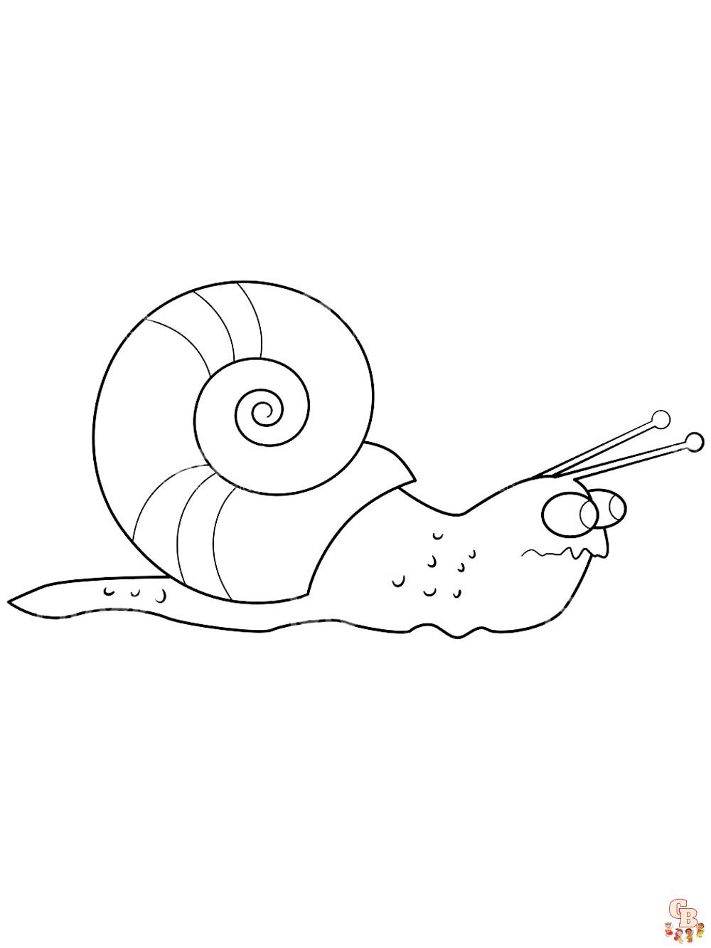 Ausmalbilder Schnecke 48