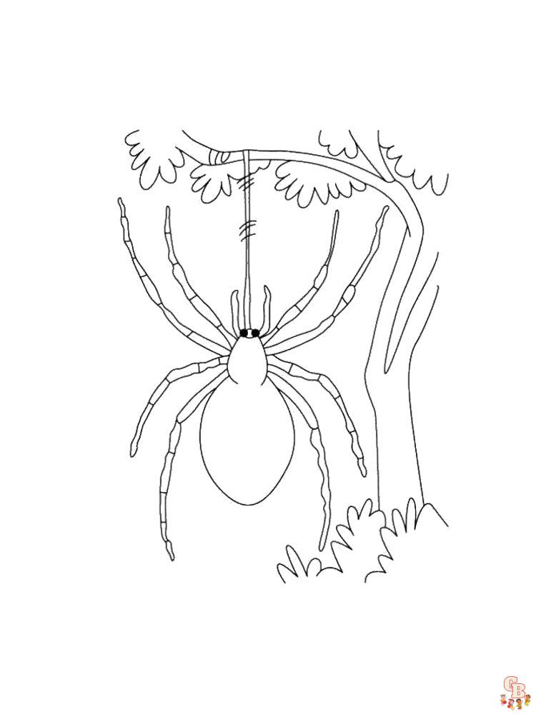 spinnen ausmalbilder 16
