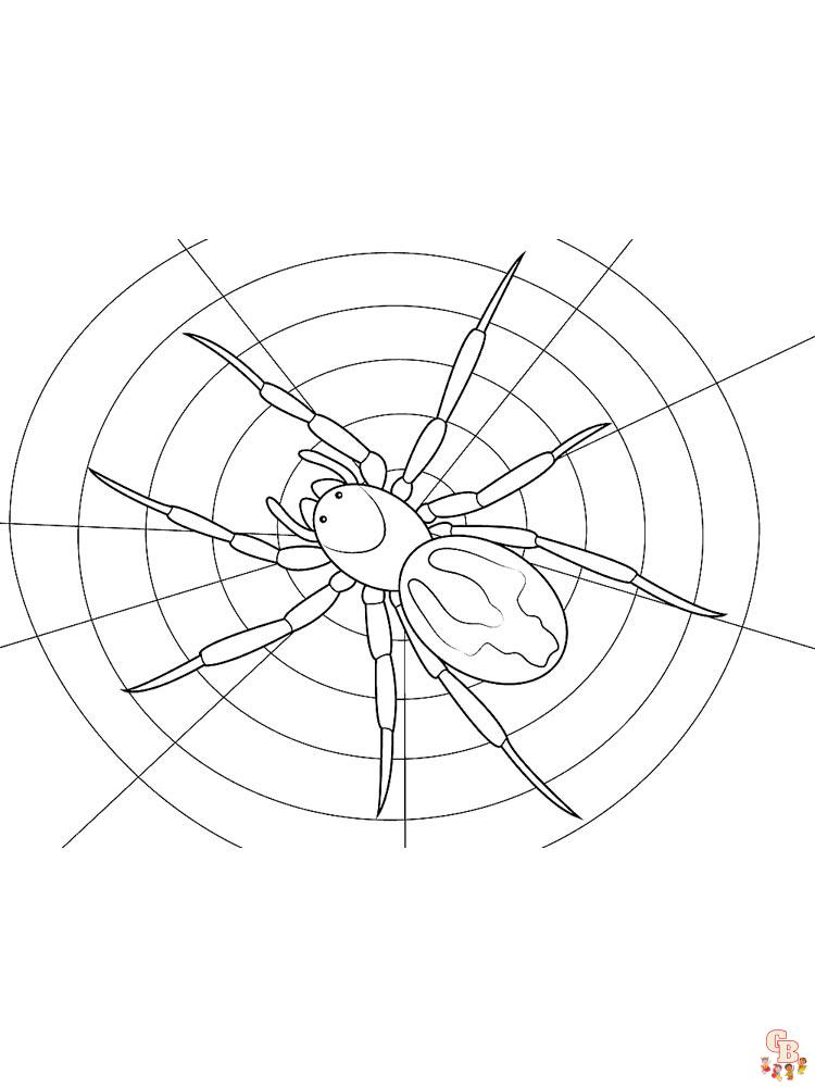 spinnen ausmalbilder 9