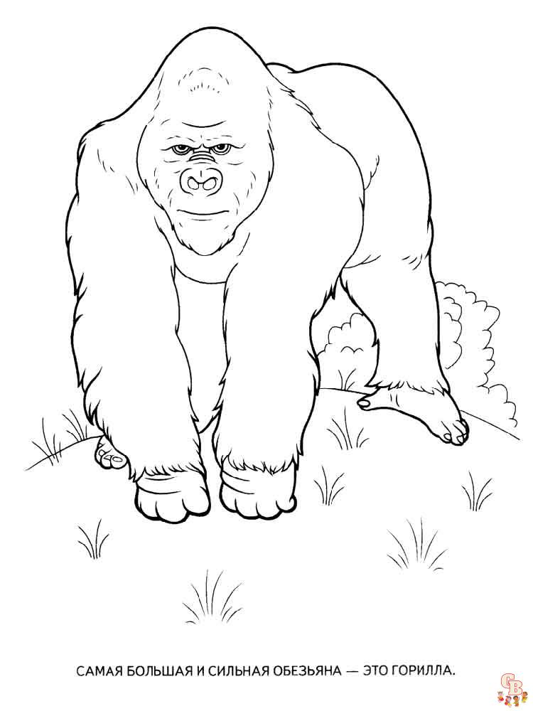 Ausmalbilder Gorilla 8