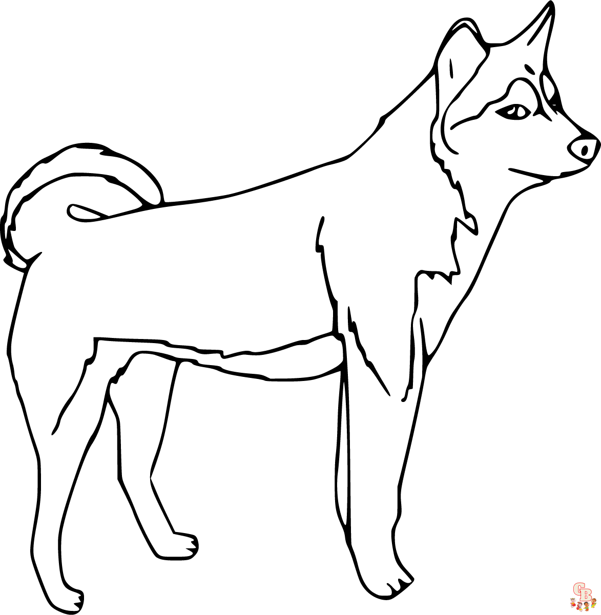 Siberian Husky zum ausmalen