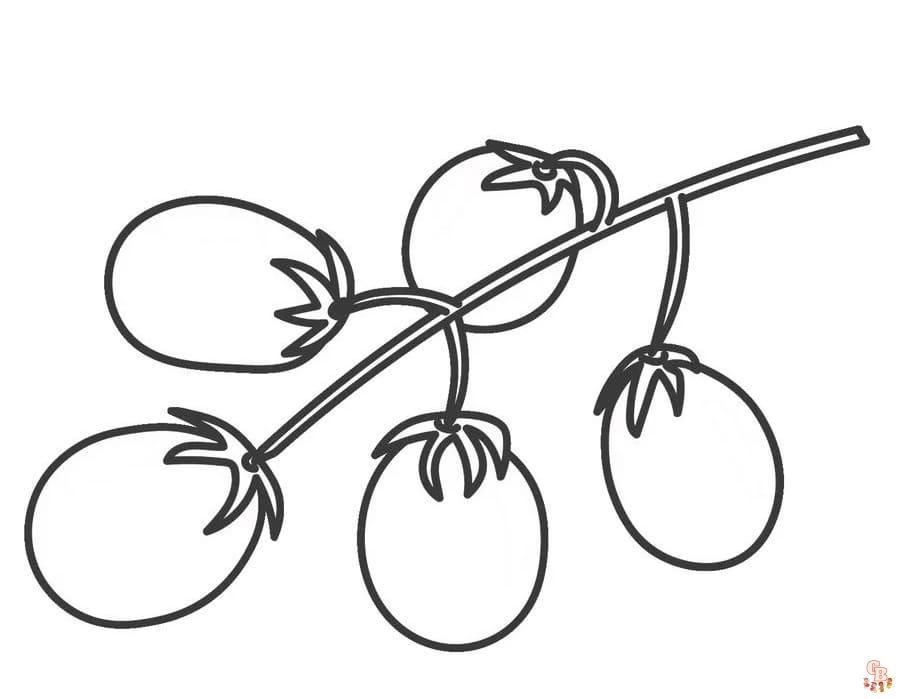 Tomaten ausmalbilder zum ausdrucken kostenlos