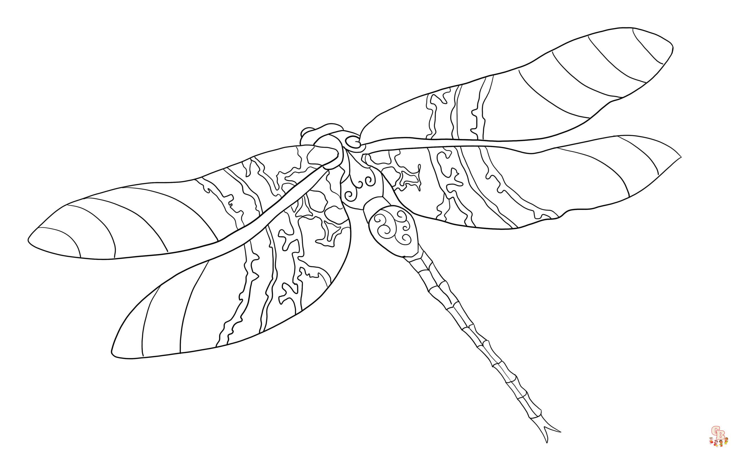libellen ausmalbilder fuer Erwachsene