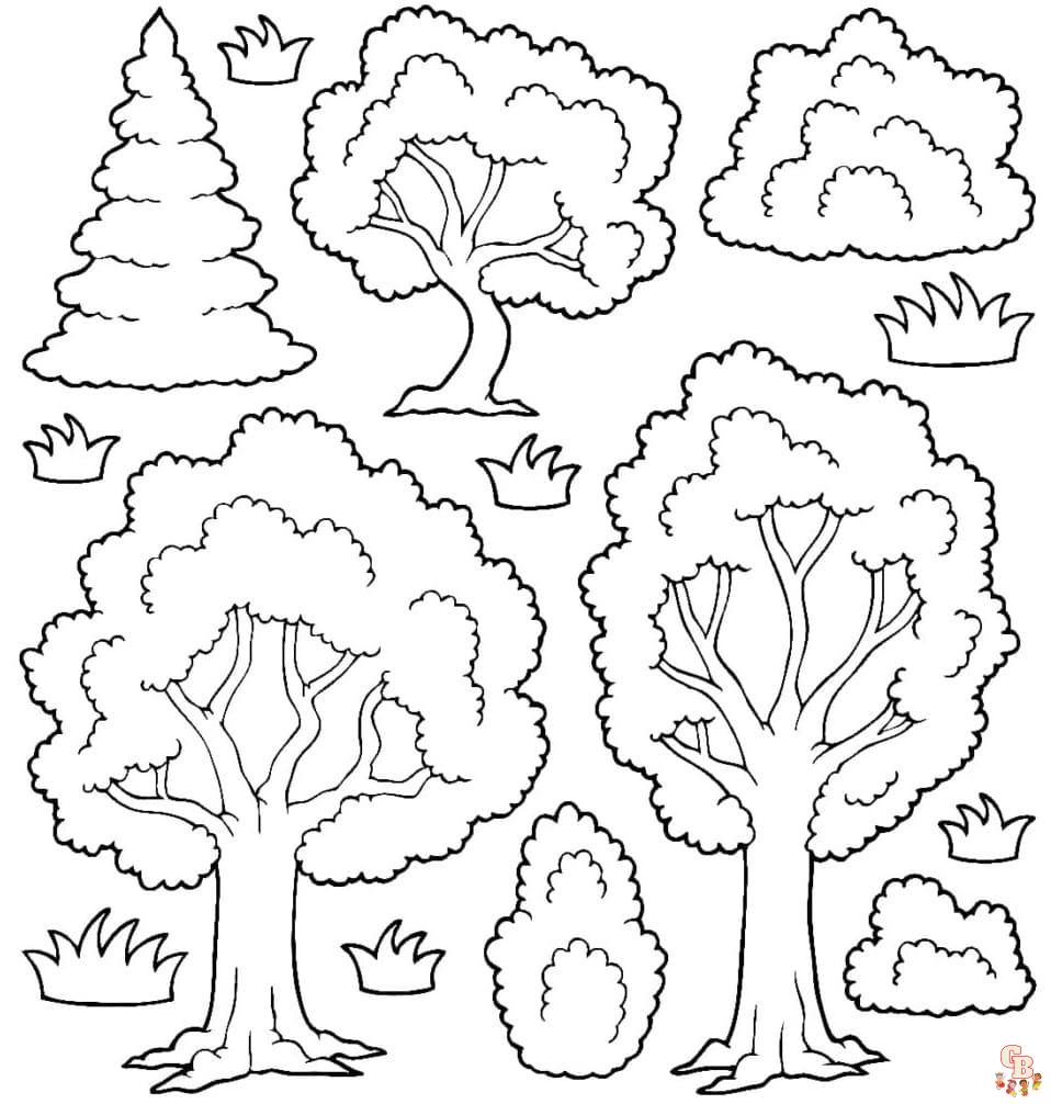 wald baeume ausmalbilder fuer Erwachsene